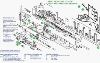 Pulp and Paper Industry