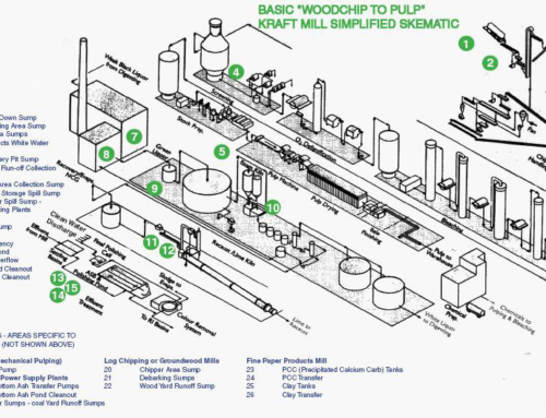 Pulp and Paper Industry